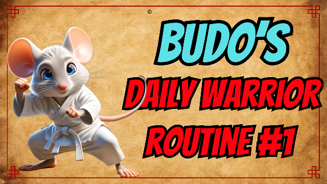 Budo's Kid Warrior Work Out